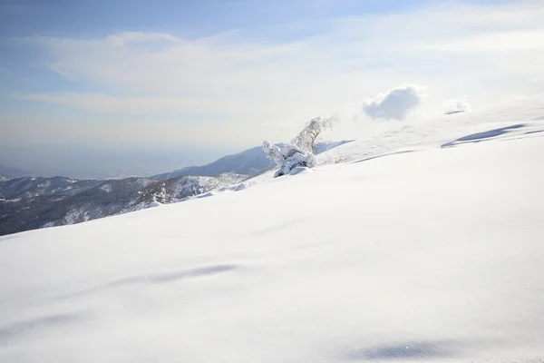 Snötäckta berg ås — Stockfoto