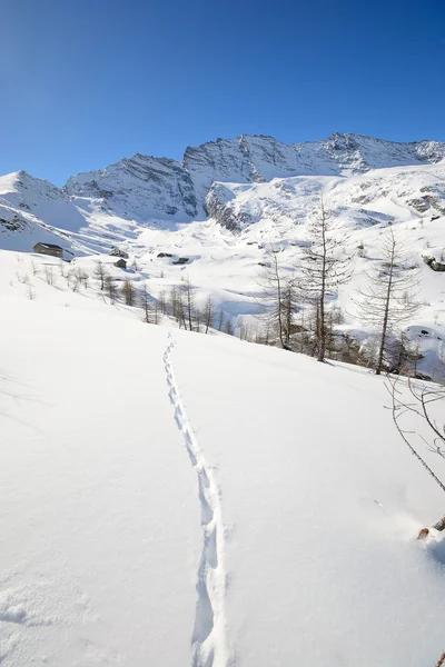 Winterwanderwege — Stockfoto