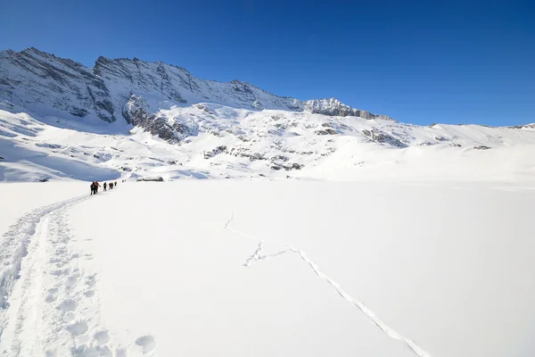 Alpinismo in inverno — Foto Stock