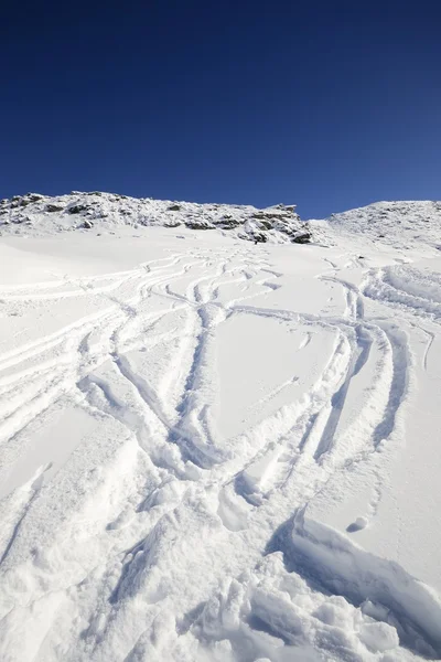 Desfrutando de neve em pó — Fotografia de Stock