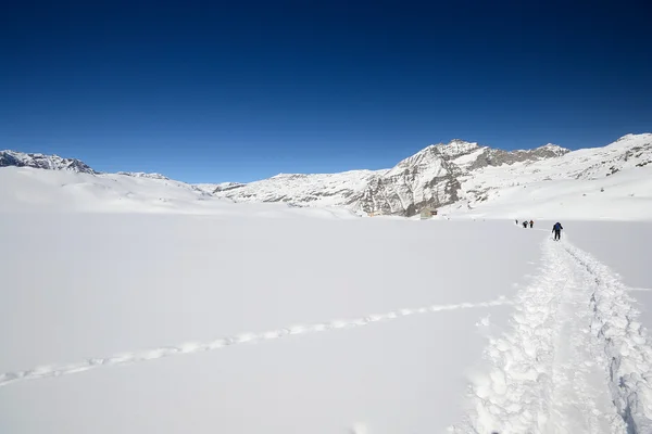 Erforschung der Wildnis — Stockfoto