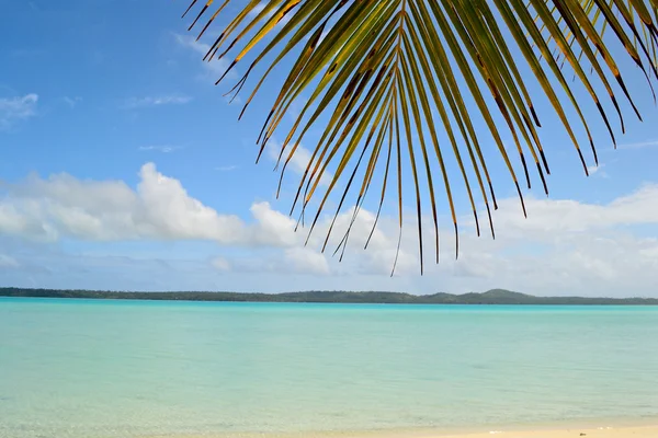 Idyllischer Strand zum Entspannen — Stockfoto