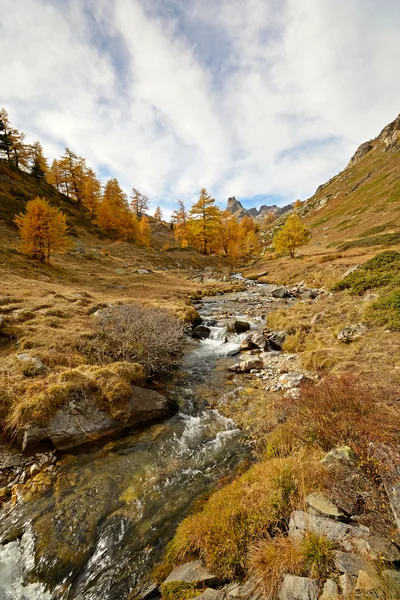 Färgglada alpina dal — Stockfoto