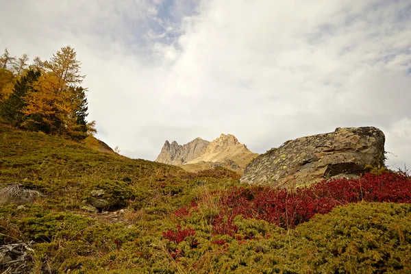 Farbenfrohes Alpental — Stockfoto