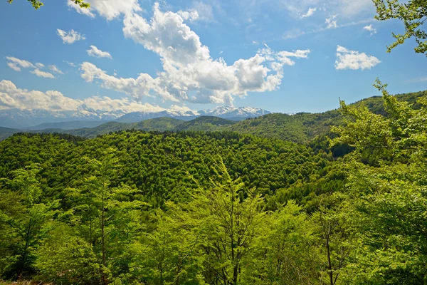 Primavera nos Alpes — Fotografia de Stock