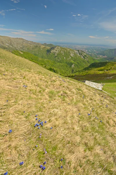 Colorida primavera en los Alpes —  Fotos de Stock