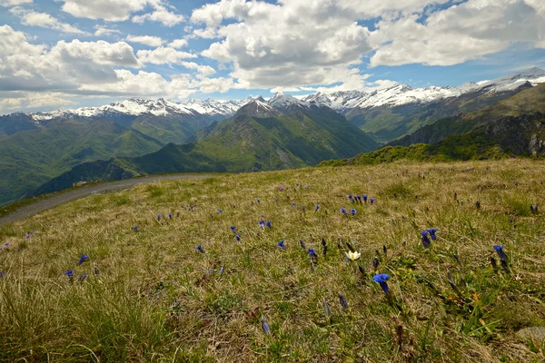 Primavera colorida nos Alpes — Fotografia de Stock