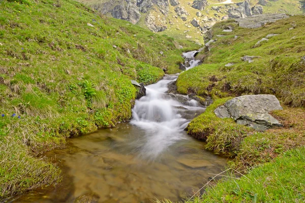 Vilda vatten i Alperna — Stockfoto