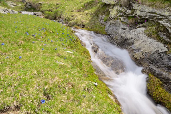 Wild waters in the Alps — Stock Photo, Image