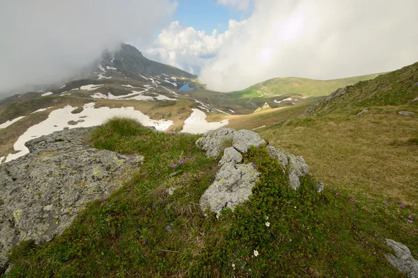 Alpina färger på sommaren — Stockfoto