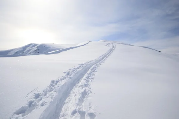 Ski de randonnée — Photo