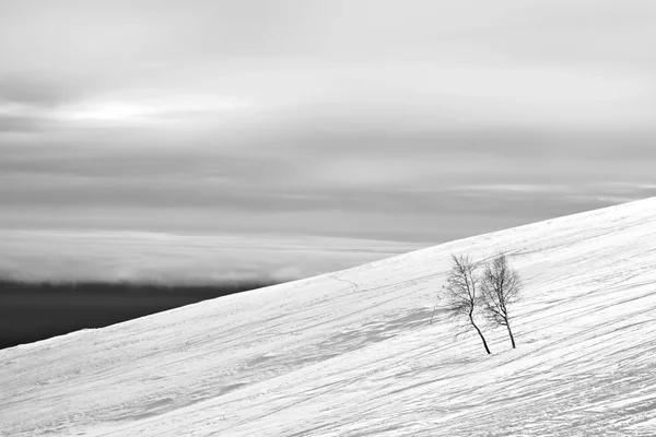 White ski slope — Stock Photo, Image