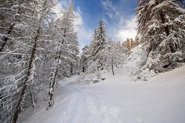 Winterzeit in den Alpen. — Stockfoto