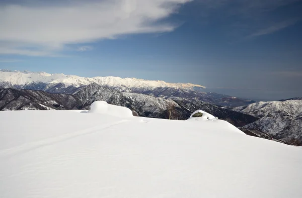 Alp cennet — Stok fotoğraf