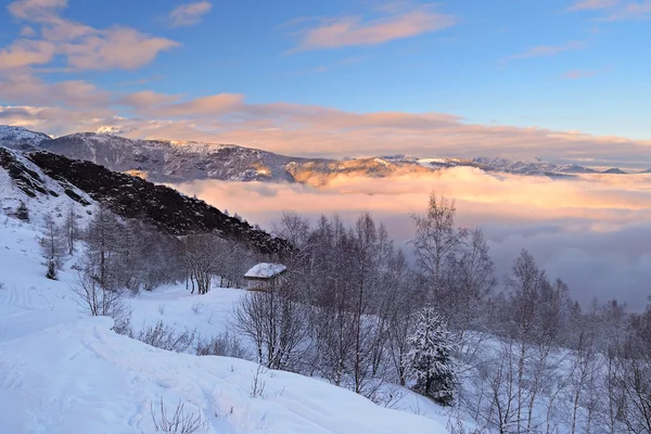 Winterlandschap bij zonsondergang — Stockfoto