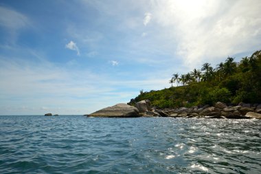 vahşi kıyı şeridi