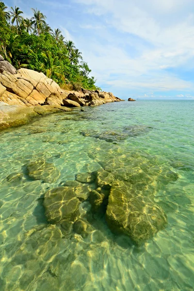 Paradise corner — Stock Photo, Image