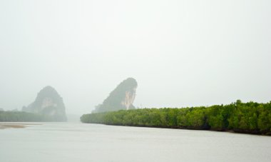 Krabi taşlara yağmur