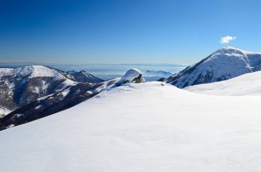 Alp ark görünümü