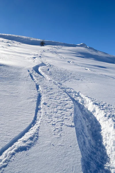 粉の雪の楽しみ — ストック写真