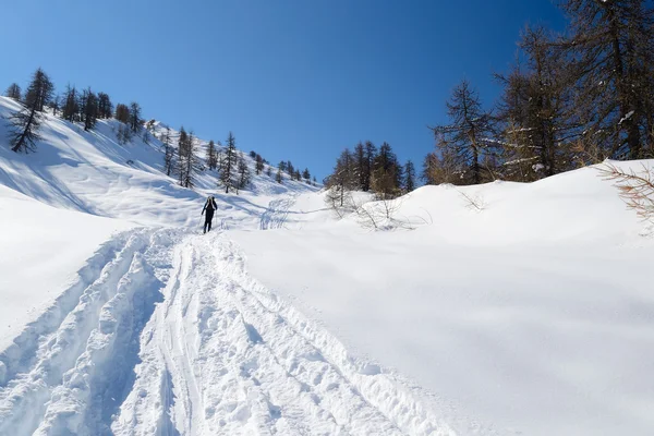Alpinismo na neve fresca — Fotografia de Stock