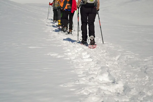 Wandern im Winter — Stockfoto