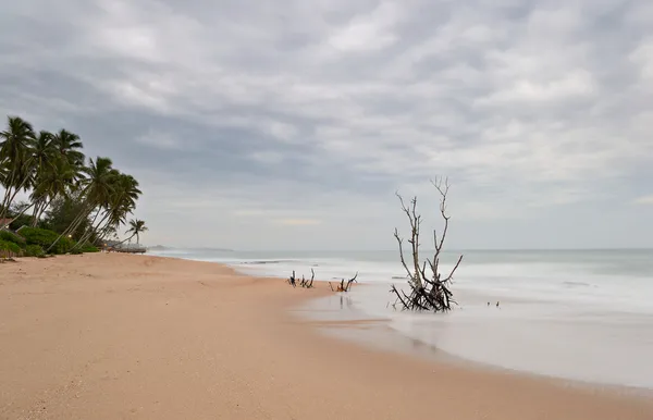 Mar borrado ao entardecer — Fotografia de Stock