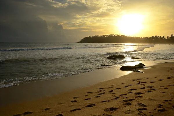 Atardecer dorado —  Fotos de Stock