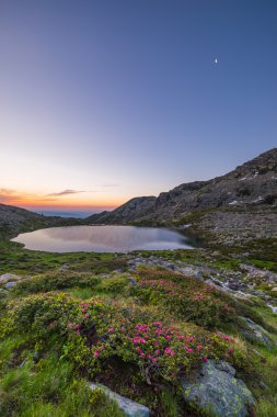 yüksek irtifa dağ gölü