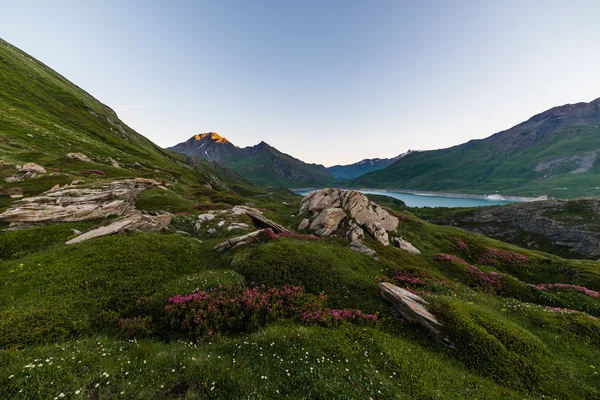 Alpine twilight — Stockfoto