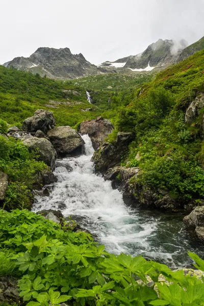 Aguas alpinas — Foto de Stock