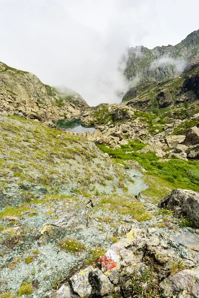 Alpské cesty — Stock fotografie