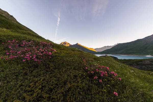 Alp alacakaranlık — Stok fotoğraf