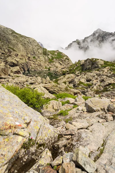 Alpine lake — Stock Photo, Image