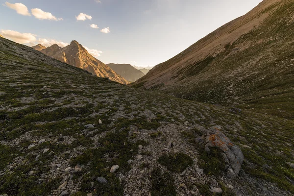 Berglandschap bij zonsondergang — Stockfoto