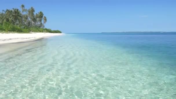 Egzotyczna Plaża Białym Piaskiem Tropikalna Wyspa Dala Tego Wszystkiego Rafa — Wideo stockowe
