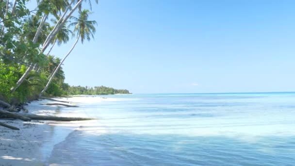Egzotyczna Plaża Białym Piaskiem Tropikalna Wyspa Dala Tego Wszystkiego Rafa — Wideo stockowe