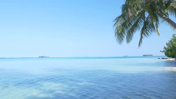 Екзотичний Білий Піщаний Тропічний Острів Відокремився Від Усього Цього Кораловий — стокове відео