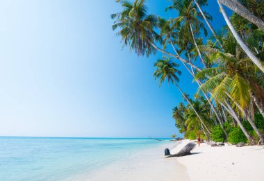 Hindistan cevizi palmiyeli beyaz kumsal turkuvaz mavi su mercan resifi, tropikal seyahat noktası, çöl plajı - Banyak Adaları, Sumatra, Endonezya