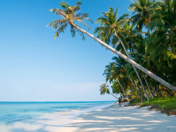 白沙滩与椰子树绿松石蓝水珊瑚礁 热带旅游目的地 沙漠海滩没有人 巴尼亚克群岛 苏门答腊 印度尼西亚 — 图库照片