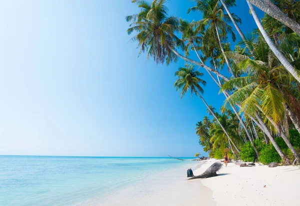 Weißer Sandstrand Mit Kokospalmen Türkisblaues Korallenriff Tropisches Reiseziel Wüstenstrand Ohne — Stockfoto