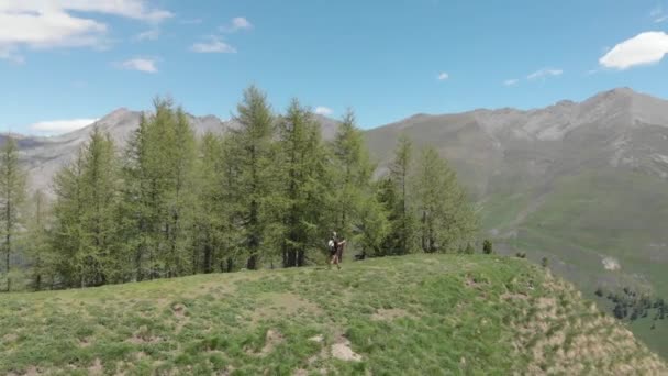 背包客 登山者 山巅岩石 山巅景色壮观 夏天去阿尔卑斯山探险征服成功领导者的概念 — 图库视频影像