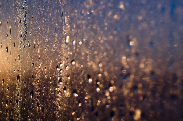 Утренний свет к мокрому окну — стоковое фото
