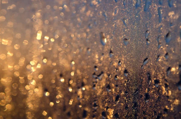 Luz de la mañana a la ventana húmeda — Foto de Stock