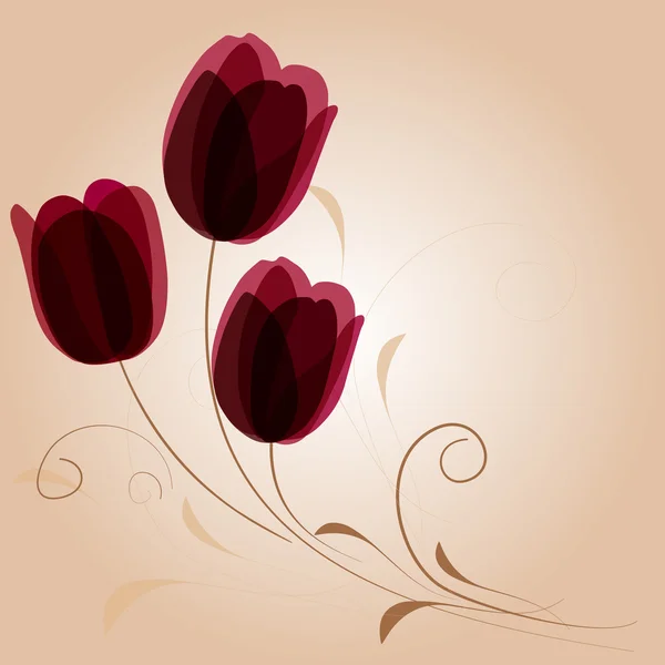 Bouquet of tulips vector — Stock Vector