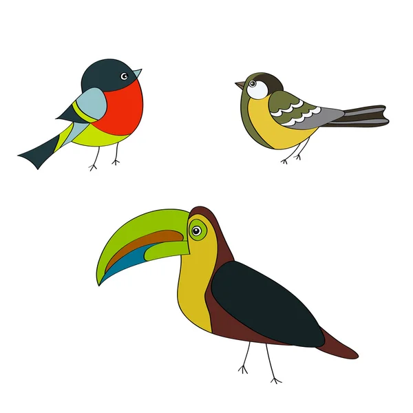 Conjunto de aves bullfinch, pardal, vetor de papagaio — Vetor de Stock