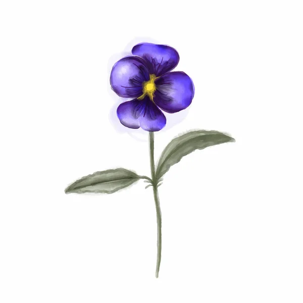 Υδατογραφία Πανσές Λουλούδι Vintage Διανυσματική Απεικόνιση — Διανυσματικό Αρχείο