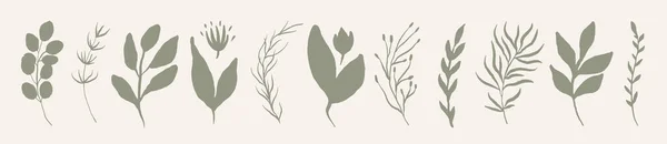 Set Leaves Hand Drawn Decorative Green Leaf Element — Stock Vector