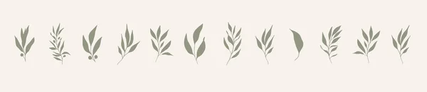 Blättersatz Handgezeichnetes Dekoratives Grünes Blattelement — Stockvektor