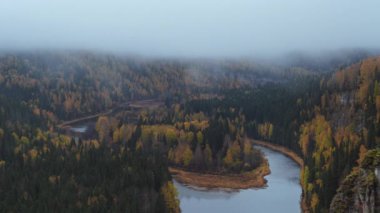 Sabah, sonbahar sisi Usva Nehri Adası ve güzel altın ormanı Perm Bölgesi, Rusya üzerinde ilerliyor. Zaman Dilimi 4K